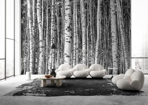 Zeeko Birch Forest Wall Mural Peel and Stick Mural for Wall 148