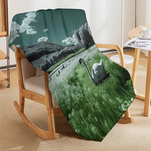 Couverture flannel moelleuse et chaude lavable grand format 180x200cm