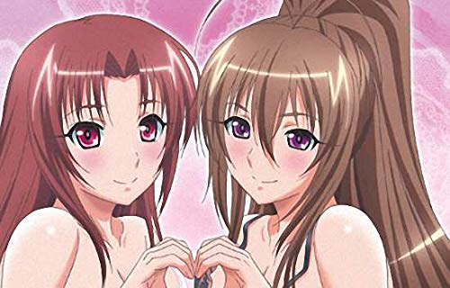 Amazon.com: Ane Jiru 2 The Animation: Shirakawa Sanshimai ni Omakase