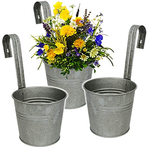 alles-meine.de GmbH 5 Stück Hänge -...