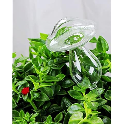 Automatic Plant Watering Devices, 2 Pcs Clear Mushroom-shaped Automatic Plant Waterer for Indoor Outdoor Garden Patio Small Pot Flower Plants (2 pcs) Cover