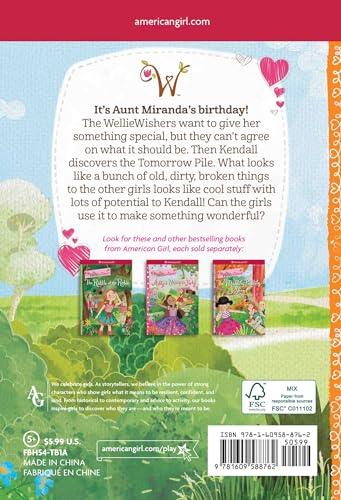 The Rainstorm Brainstorm (American Girl(r) Welliewishers(tm))