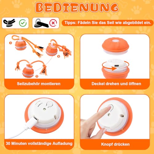Interaktives Hundespielzeug, Interaktiver Spielball für Hunde, Ball Hund, Hundespielzeug Ball Mit 3 Kauschnüren, Hundeball Elektrisch Bal-l, Gibt VogelgeräUsche ab Ideal für Kleine Hunde & Welpen