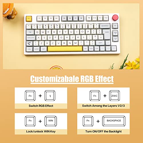 EPOMAKER Theory TH80 PRO ISO(UK) 75% Hot Swap RGB 2.4Ghz/Bluetooth 5.0/Kabelgebundene Mechanische Tastatur mit MDA PBT Tastenkappen, Knopfsteuerung für WIN/Mac/PS4/PS5/Xbox (Budgerigar Switch) – Bild 5