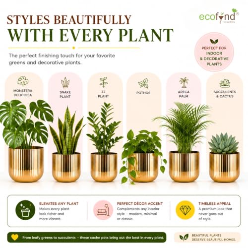 Image of ecofynd 2 Pack Metal Plant Pots (8 inch, 6.3 inch), Indoor Small Planter Flower Pots, Home Garden Decor Planter for Living Room Bedroom Interior (Gold Finish, POT047)