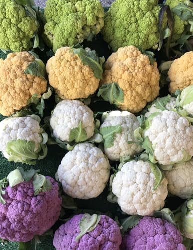 A Month of Creative Cauliflower Recipe Ideas (A MONTH OF FABULOUS FOOD)