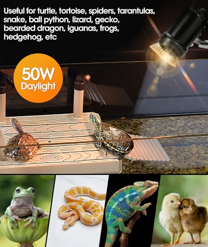 GeeKoit (2nd Gen) 50W Reptile Heat Lamp Turtle Lamp UVA UVB Bulb with Compact Fixture Basking Light Simulated Sunlight Heat Bulbs for Reptiles Amphibians Turtle Bearded Dragon Lizard Snake Chicken