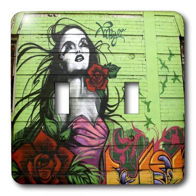 Double interrupteur à bascule Grafitti Rose pour remplacer une plaque terne