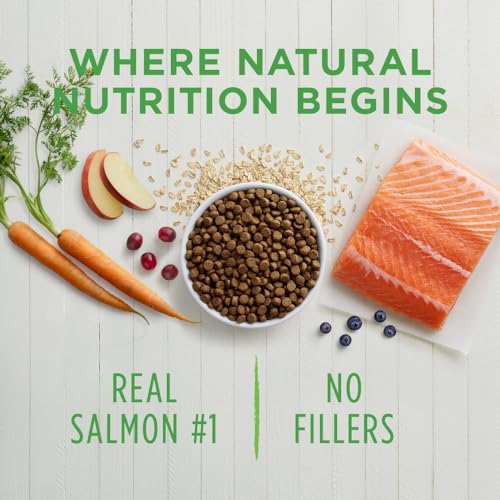 Instinct Be Natural, Natural Dry Dog Food, Raw Coated Kibble - Real Salmon & Brown Rice, 24 lb. Bag