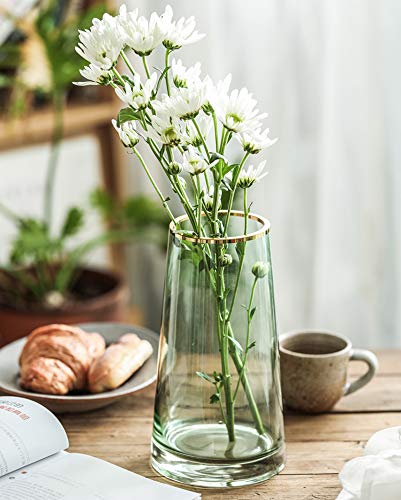 Funsoba Green Glass Flower Vase With Gold Mouth For Centerpieces Home Wedding Decoration (1, Small) #TOP2