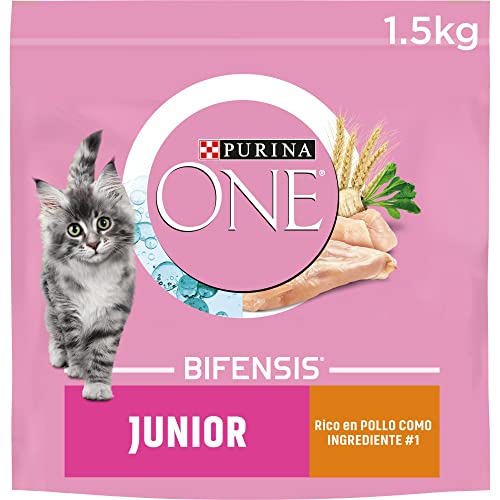 Purina ONE Bifensis Comida Pienso para gato Junior, bebe o gatito con Pollo y Cereales, 6 bolsas de 1,5kg