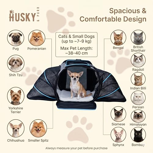 Image of Husky & Purr BreezePod Cat Bag Carrier for Cats & Small Dogs | Airline Approved Expandable Pet Carrier | Breathable Anti-Scratch Cationic Polyester Dog Bag, Up to 9kgs