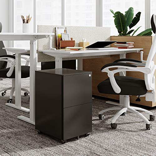 Devaise 2-Drawer Mobile File Cabinet With Lock, Commercial Vertical Cabinet In Black #TOP1