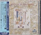 16���I�t�����h���y�h�̃��e�g�D�X�W