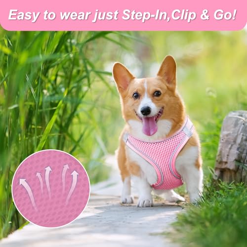 Ledeak No Pull Dog Harness, Highly Reflective Dog Harnesses, Breathable Comfort Anti Pull Dog Harness - Image 3