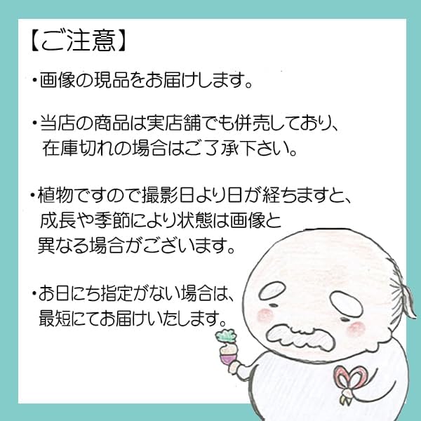 ゼンリン住宅地図 東京都 小金井市・国分寺市・東大和市・清瀬市