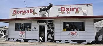 Perfect Paperback Cowgirl Book