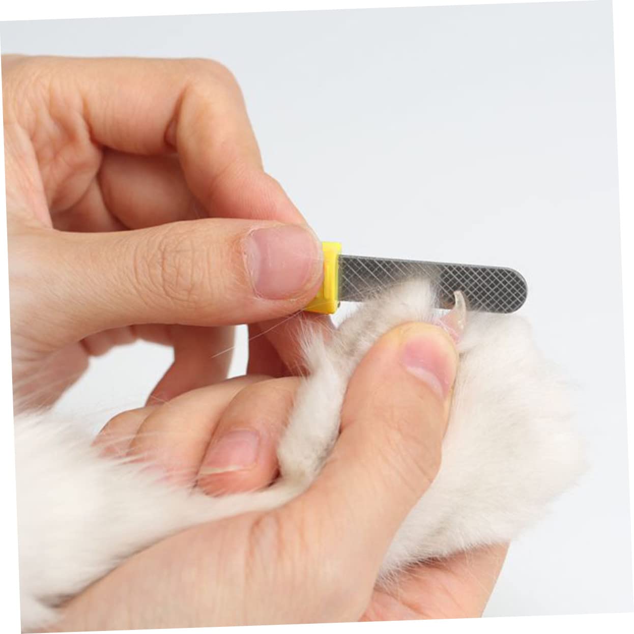 BESPORTBLE Coupe- pour Animaux De Compagnie 3 Pièces Ciseaux Lumineux À LED pour Chiens Et Chats Kit De Toilettage pour Animaux De Compagnie