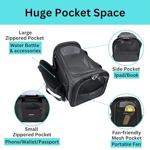 Crash-Tested-Dog-Carrier-3-in-1-Puppy-Car-Seat-TSA-Airline-Approved-Pet-Carrier-Expandable-dog-carriers-for-small-dogs-5-Star-Safety-Rated-Cat-Bag-Soft-Sided-Best-for-Safe-Travel-BlackSM