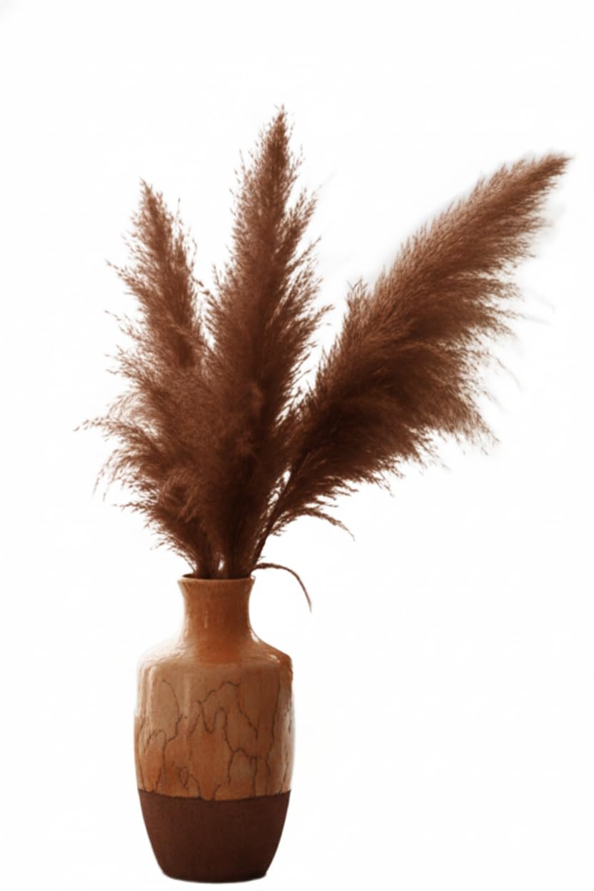 Extra Fluffy White Pampas Grass - 5 Piece Preserved White Pampas Plumes for Boho Home Decor, Tall Vase Filler, and Modern Wedding Table Centerpieces-image-24