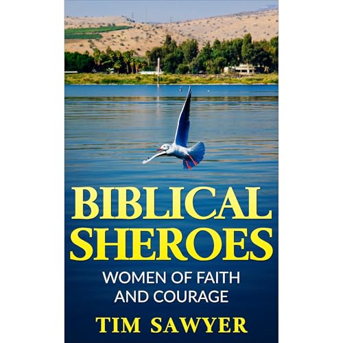 BIBLICAL SHEROES by Tim Sawyer episode artwork