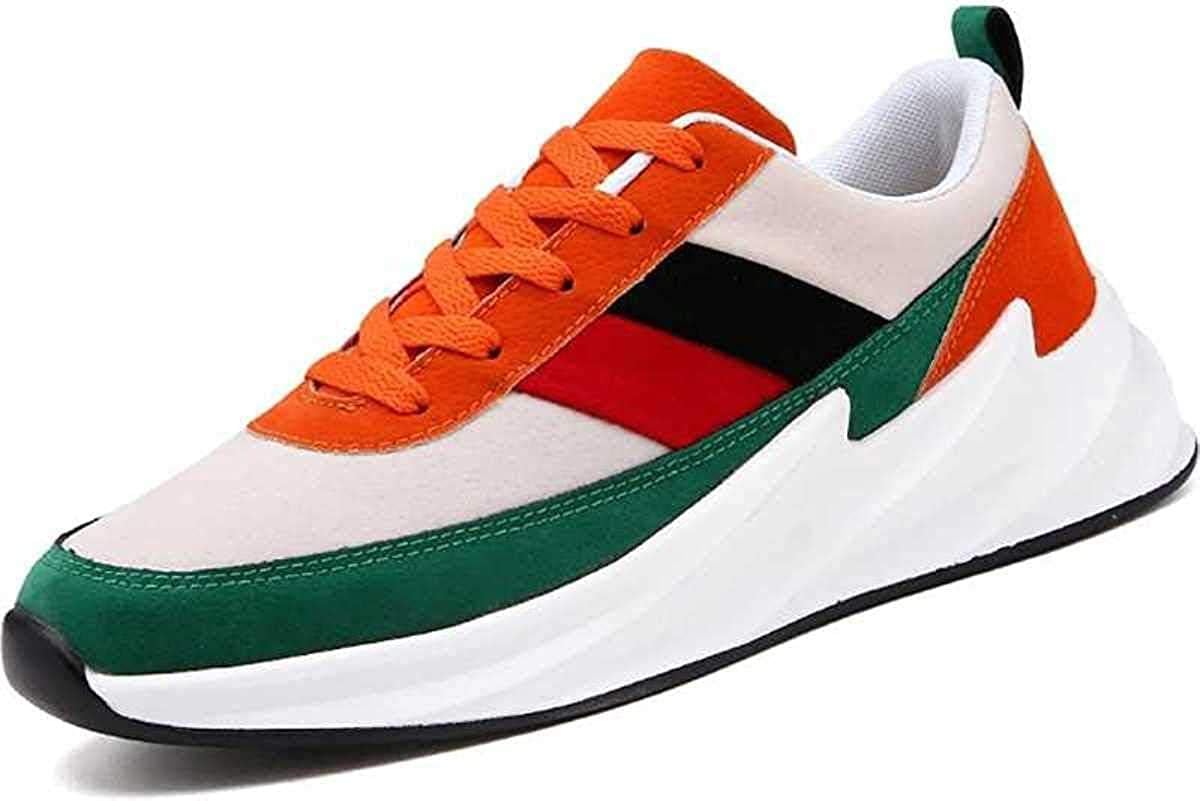 AmicoMen Hiking Shoe (Multicolor_7 UK)
