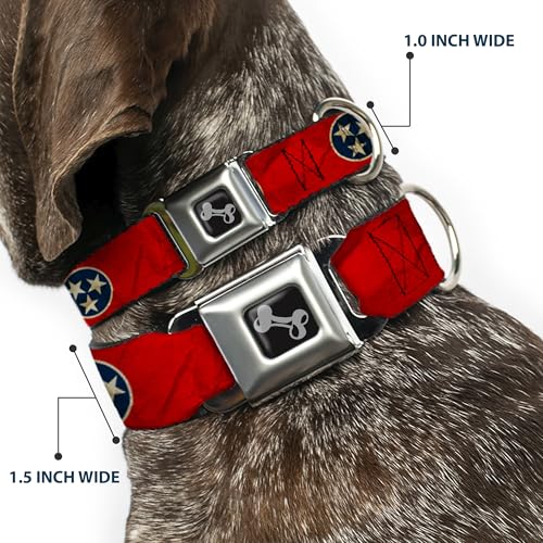 Collier chien Tennessee Buckle Down ajustable imprimé étoiles M - 3
