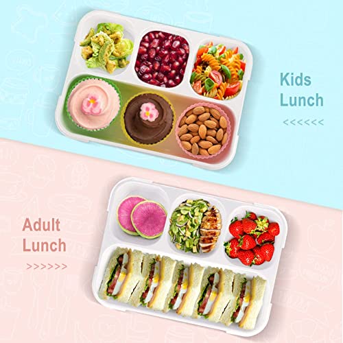 Image of Primelife Plastic Leak Proof 4 Compartment Lunch Box Reusable Microwave Freezer Safe Food Containers with Spoon for Adults and Kids - Multicolor (4 Comp Lunch Box)
