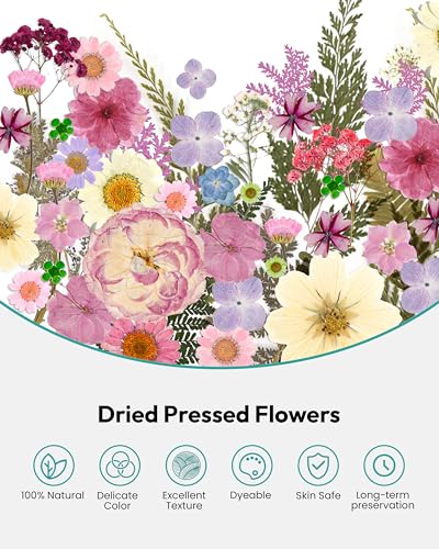 Image of Dried Flowers, Resiners 100Pcs Pressed Flowers for Craft Baby Pink Real Natural Dried Flowers Dry Leaves Kit for DIY Making Crafts Resin Soap Candle Scrapbook Supplies Card Making Jewelry