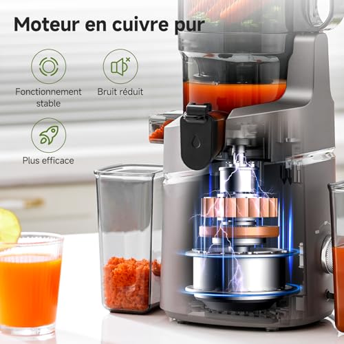 Image of AMZCHEF Juicer Machines, 5.8 inch Extra Self-Feeding Cold Press Juicer for Whole Vegetable & Fruit, Juice Extractor Machine with Large Auger & Triple Strainers, Easy to Clean, High Juice Yield, Grizzly