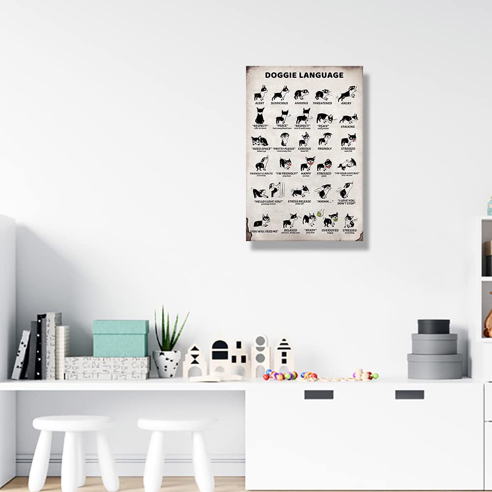 Correlation Between Teeth and Organs Laminated Anatomy Chart
