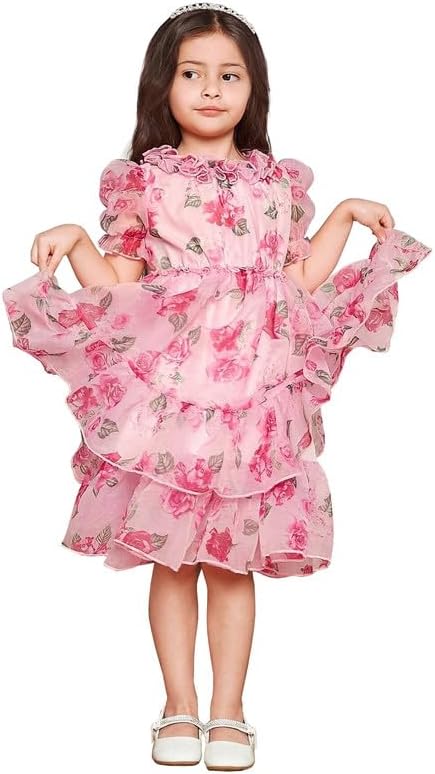 Niren Enterprise Royal Tern Floral Printed Tabby Silk Baby Girl Frock