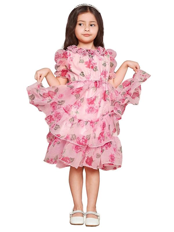Niren Enterprise Royal Tern Floral Printed Tabby Silk Baby Girl Frock