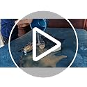 Waterproof Blanket for Bed, Spill-Proof, Stain Proof, Water Proof & Mess-Free Cozy Flannel Splash Blanket (Moon Grey & Starlit Grey, 60x80
