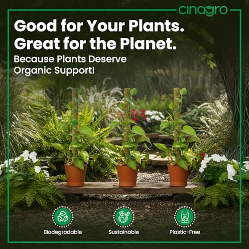 Image of CINAGRO 3ft Natural Coir Moss Stick for Plant Support, Set of 4, Grass Pole | Aesthetic Garden Decor for Climbing Plant, Eco-Friendly, Biodegradable