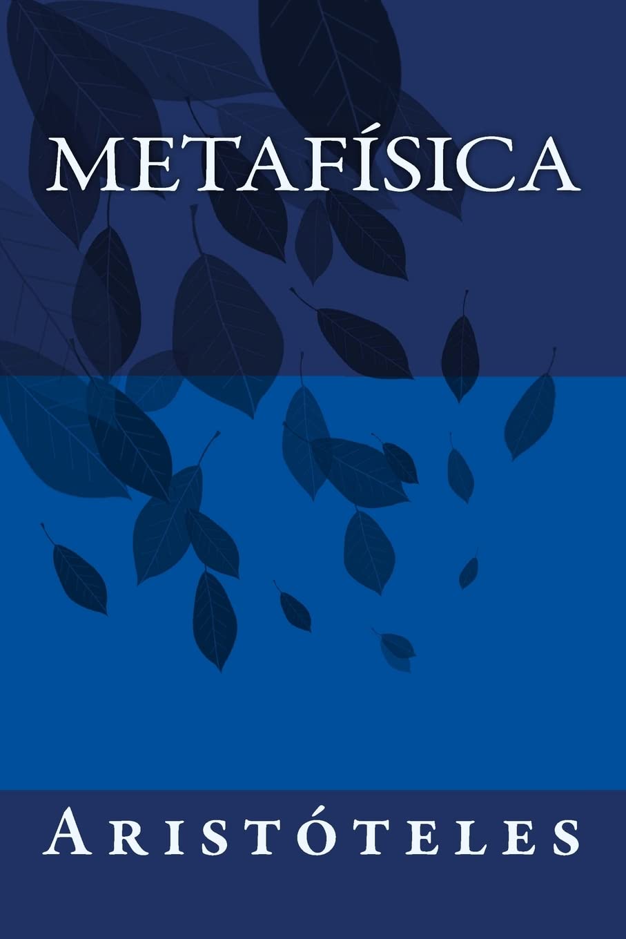 Metafisica (Spanish Edition)