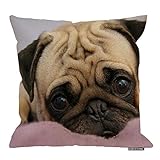 HGOD DESIGNS Pug Dog Zippered Pillowcase Pillow Cases Cover Home Decorative 18 X 18 Inch (Double Sid