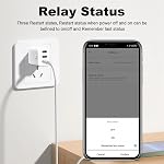Tuya Zigbee Type-C Smart Adaptor Plug 3 Gang Mini USB-C Power Adaptor Charge Plug Timing Voice Control for