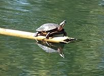 Review Image by DBCooper DBCooper