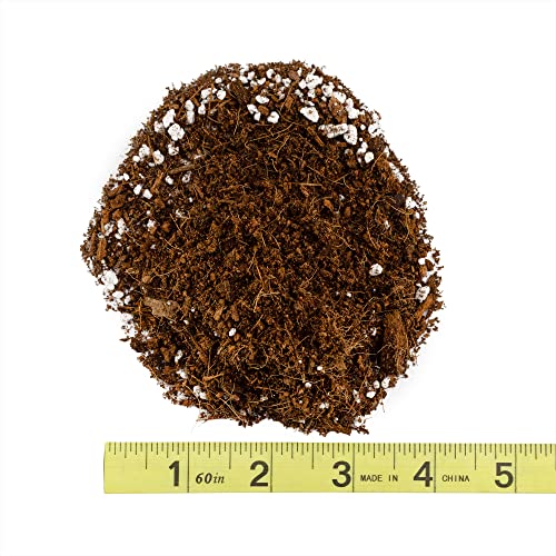 Coco Peat Perlite Potting Mix (2 Quarts), Loose Coconut Coir And Perlite #TOP5