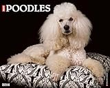 Just Poodles 2014 Wall Calendar