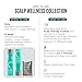 Malibu C Scalp Wellness Conditioner (9 oz) - Scalp Soothing Hair Conditioner with Eucalyptus + Spearmint Oil - Sulfate-Free Moisturizing Dry Scalp Conditioner
