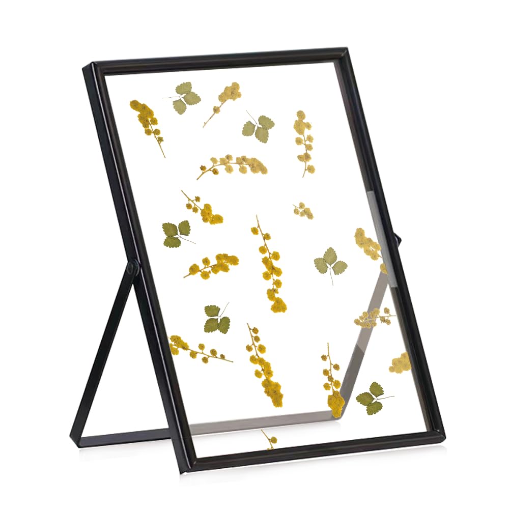 SAEGYPETBlack Floating Frame (8×10 inches, Vertical), For Picture 7x9, 6x8, 5x7, Tabletop Shelf Photo Frames, Classy Gift For Festival, Wedding, Home or Office Decor