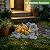 Ovewios Garden Dragon Statue Outdoor Decor, Dragon Garden Sculpture Waterproof Solar LED Lights Resin Succulent Decorations for Outside Lawn Patio Yard Ornament Gifts