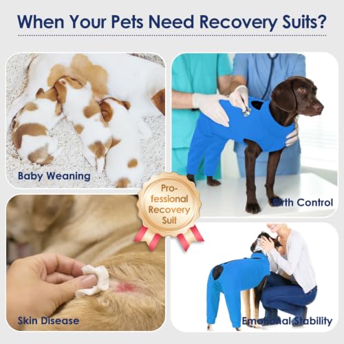 Image of KOESON Dog Recovery Suit Hind Leg, Recovery Sleeve for Female Male Dogs, Pet Leg Sleeve to Stop Licking, Pet Rear Leg Wound Cover, Dog Spay Onesie for Wound Heal Care