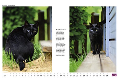 Whiskas Katzenkalender 2016