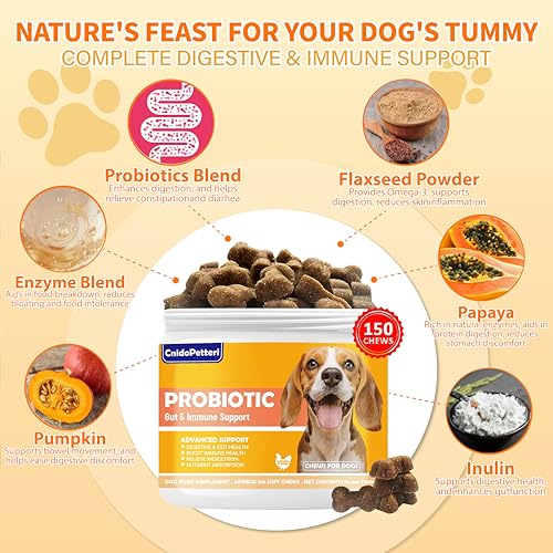 Probiotics for Dogs - 6 Digestive Probiotics & 6 Enzymes for Itchy Skin,Digestion & Gut Support,Helps Diarrhea, Yeast Infection, Upset Stomach,Allergies & Immune System Support-150 Chews — view 2