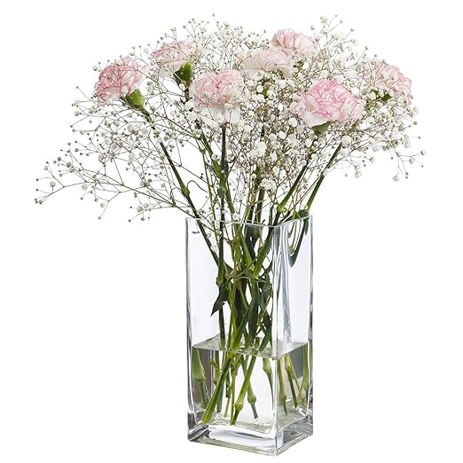 GALLIVANT Square Glass Flower Vase Straight Glass Block Design Table Vase for Home Decor | Modern Showpiece for Living Room, Center Table Display, Candle Holder, Terrarium & Plant Vase (4x6 inch)-image-30