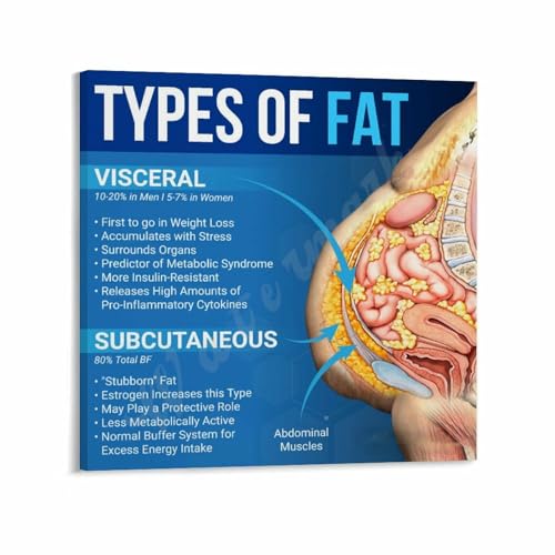 Types of Fat Poster Visceral Fat Knowledge Canvas Painting Wall Art 16x16inch(40x40cm) Frame-style