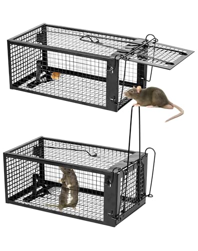Lebendfalle Mausefalle XXL 2er Rattenfalle– Wiederverwendbare Mäusekäfig Falle für Innen & Außen, Tierfalle ohne Verletzung, Effektive Lebendfalle...